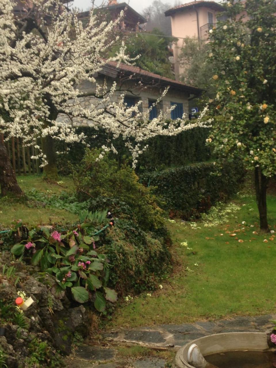 Villa Maria Lago Maggiore Рено-ди-Леджуно Экстерьер фото